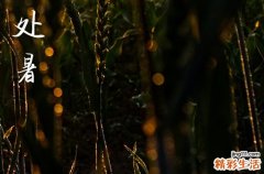 处暑是2024的几月几日 2024处暑裁衣好吗