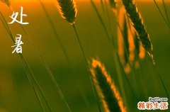 2024年处暑是什么时候 2024年8月22日是处暑