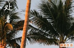 2024年处暑是星期几 2024年处暑订盟吉利吗