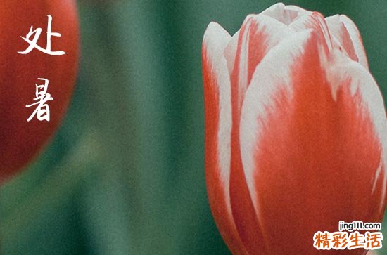 2024年处暑农历时间 2024处暑装修开工好吗