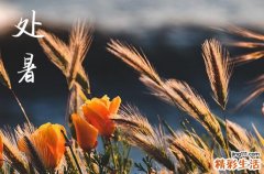 2024年处暑是星期几 2024年处暑装修房子开工吉祥吗