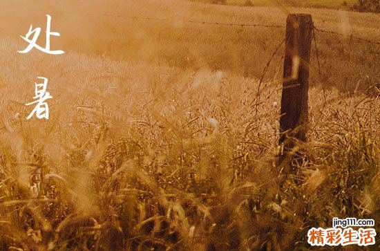处暑是几月几号2024年 2024处暑这天可以认义子吗