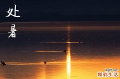 2024年处暑是几点几分几秒 2024年8月22日处暑当天认养孩子好吗