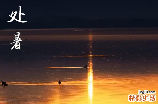 2024年处暑是几点几分几秒 2024年8月22日处暑当天认养孩子好吗