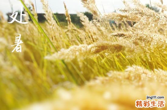 2024年处暑时间是什么时候 2024年8月22日处暑这天起基好吗