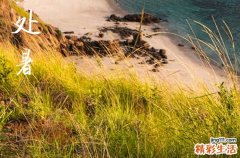 2024年处暑农历时间 2024年8月22日处暑是造仓的黄道吉日吗