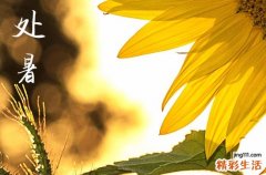 2024年处暑是星期几 2024年8月22日处暑这天宜香炉安放吗