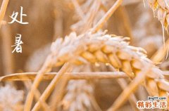 2024年处暑是具体哪一天 2024年8月22日处暑扫墓适合吗