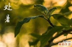 2024年处暑是几月几日 2024年处暑结婚登记吉利吗