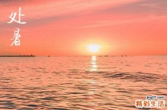 2024年今年处暑是几月几号 2024处暑这天宜做什么