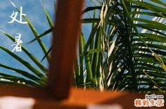 2024年处暑时间是什么时候 今天日子好不好