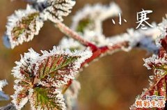 小寒發(fā)朋友圈的祝福語50句精選