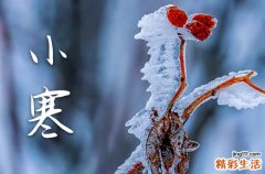 小寒微信祝福语40句精选