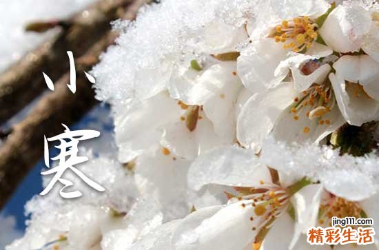 精选60句 小寒养生祝福短信大全