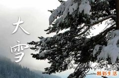 大雪快乐祝福语30句精选