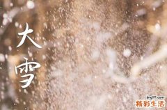 精选60句 大雪手机短信祝福语