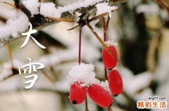 大雪暖心祝福说说50句精选