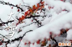 精选30句 大雪快乐祝福短信