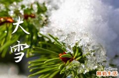 通用60句 大雪温馨祝福短信汇总