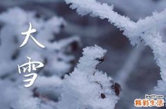 通用40句 大雪快乐的祝福词