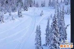 精选40句 大雪暖心祝福说说