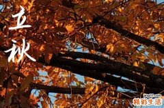 2024立秋是几月几日 具体哪一天