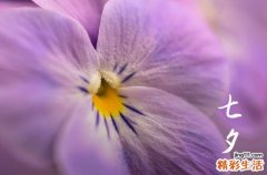 2024七夕节在哪一天 几月几号七夕情人节