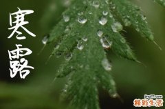 今年寒露是几月几日2024 寒露习俗