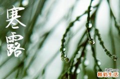 2024年寒露是农历的哪一天 寒露的古诗