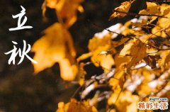 2024年立秋是哪天 具体几月几号