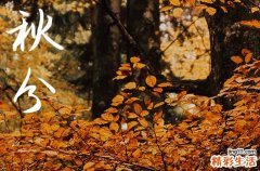 今年秋分是幾月幾號幾點幾分2024 秋分氣象變化