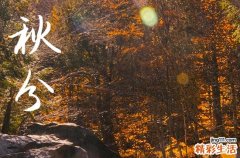 2024年秋分竖蛋是生鸡蛋还是熟鸡蛋