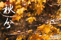 2024年秋分准确时间几点几分