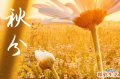 2024年秋分是哪一天几点几分 秋分习俗