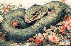 41年属蛇人2025年运势运程 1941年属蛇人2025年运势运程