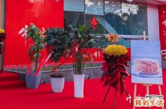 2024年8月21日这天开市好吗 今日开市日子好吗