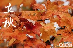 今天幾點立秋時間2024 立秋后還熱嗎