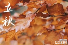 2024年立秋時間幾點幾分