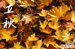 今年立秋時(shí)間2024 立秋后天氣變冷了嗎