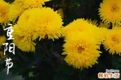 重陽節(jié)祝福問候語大全 關(guān)于重陽節(jié)的詩句