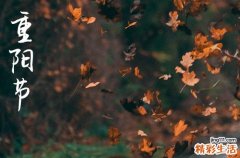 重陽節(jié)發(fā)朋友圈的文案 重陽節(jié)的詩