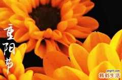 古代重陽節(jié)喝什么酒 古代重陽節(jié)為什么要喝菊花酒