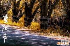重阳节为什么要登高 重阳节的习俗