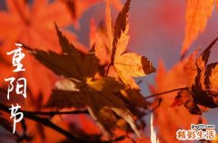 重阳节是法定假日吗 登高采菊是什么节日