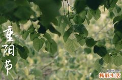 重阳节吃重阳糕饮什么酒 重阳节吃重阳糕的来历