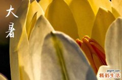 明日大暑,2025年大暑几点