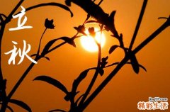 2024年立秋是什么时候时间 2024立秋那天交驰好吗