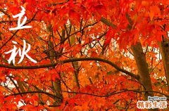 2024年立秋几月几日 2024立秋这天可以修门吗