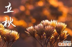 立秋2024年是几月几日星期几 2024年8月7日立秋是修饰垣墙的黄道吉日吗