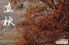 2024年立秋是多少号 2024年立秋合帐好不好